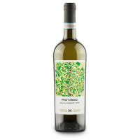 PINOT GRIGIO DELLE VENEZIE DOP - TERRE DEI DOGI - 750 ml