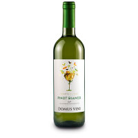 PINOT BIANCO TREVENEZIE IGP - DOMUS VINI - 750 ml