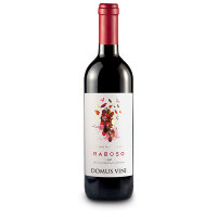 RABOSO VENETO IGP - DOMUS VINI - 750 ml