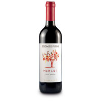 MERLOT VINO ROSSO - DOMUS VINI - 750 ml