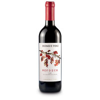 REFOSCO TREVENEZIE IGP - DOMUS VINI - 750 ml