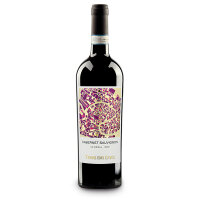 CABERNET SAUVIGNON VENEZIA DOP - TERRE DEI DOGI - 750 ml